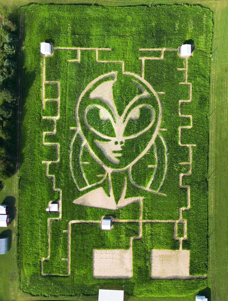 Field of Screams 2025 corn maze design, aerial view, Brandenburg Kentucky