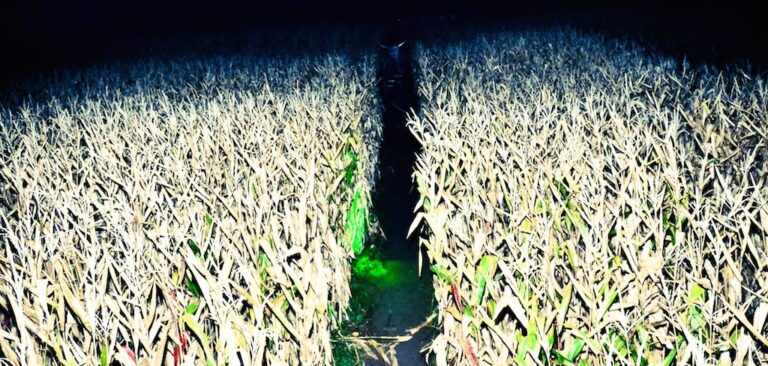 Field of Screams haunted attraction, Brandenburg Kentucky, near Louisville