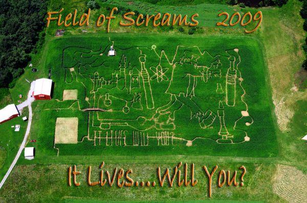 Field of Screams 2009 corn maze design, aerial view, Brandenburg Kentucky