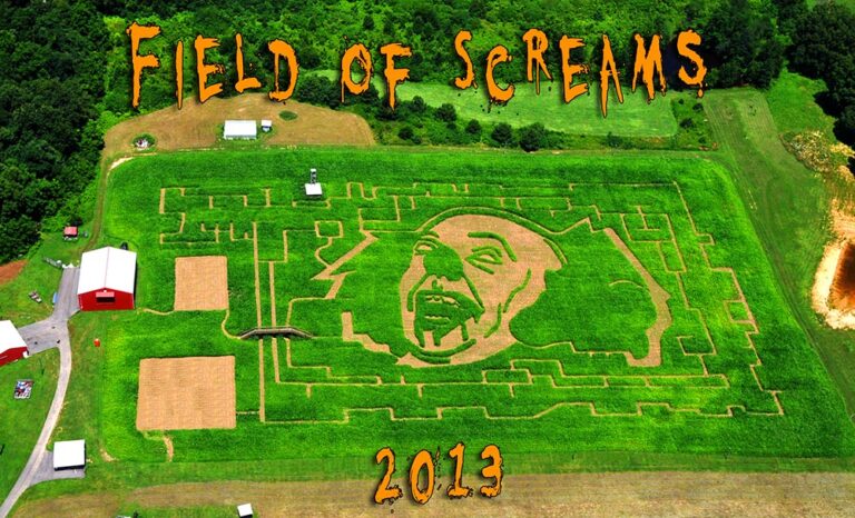 Field of Screams 2013 corn maze design, aerial view, Brandenburg Kentucky