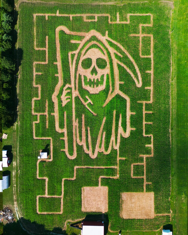 Field of Screams 2024 corn maze design, aerial view, Brandenburg Kentucky