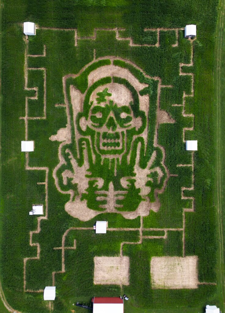 The Haunted Corn Maze